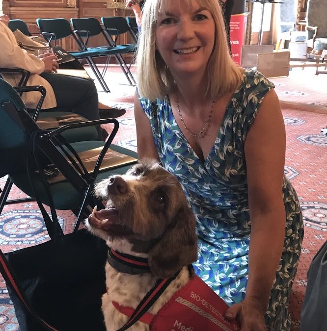 How Medical Detection Dogs can sniff out the virus and help in the pandemic