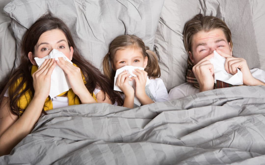 Flu – The Ultimate Survival Guide