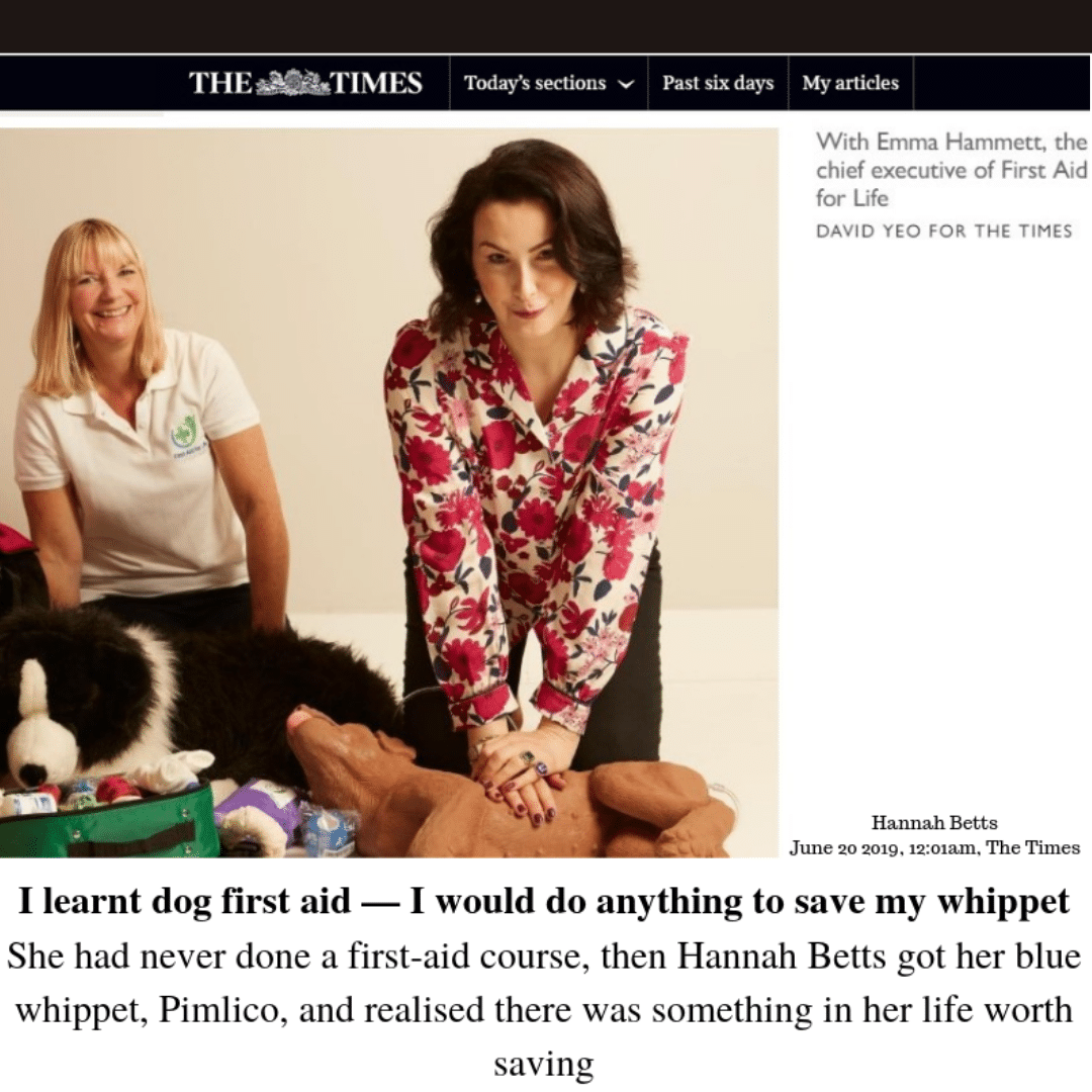 Hannah Betts in The Times on dog first aid