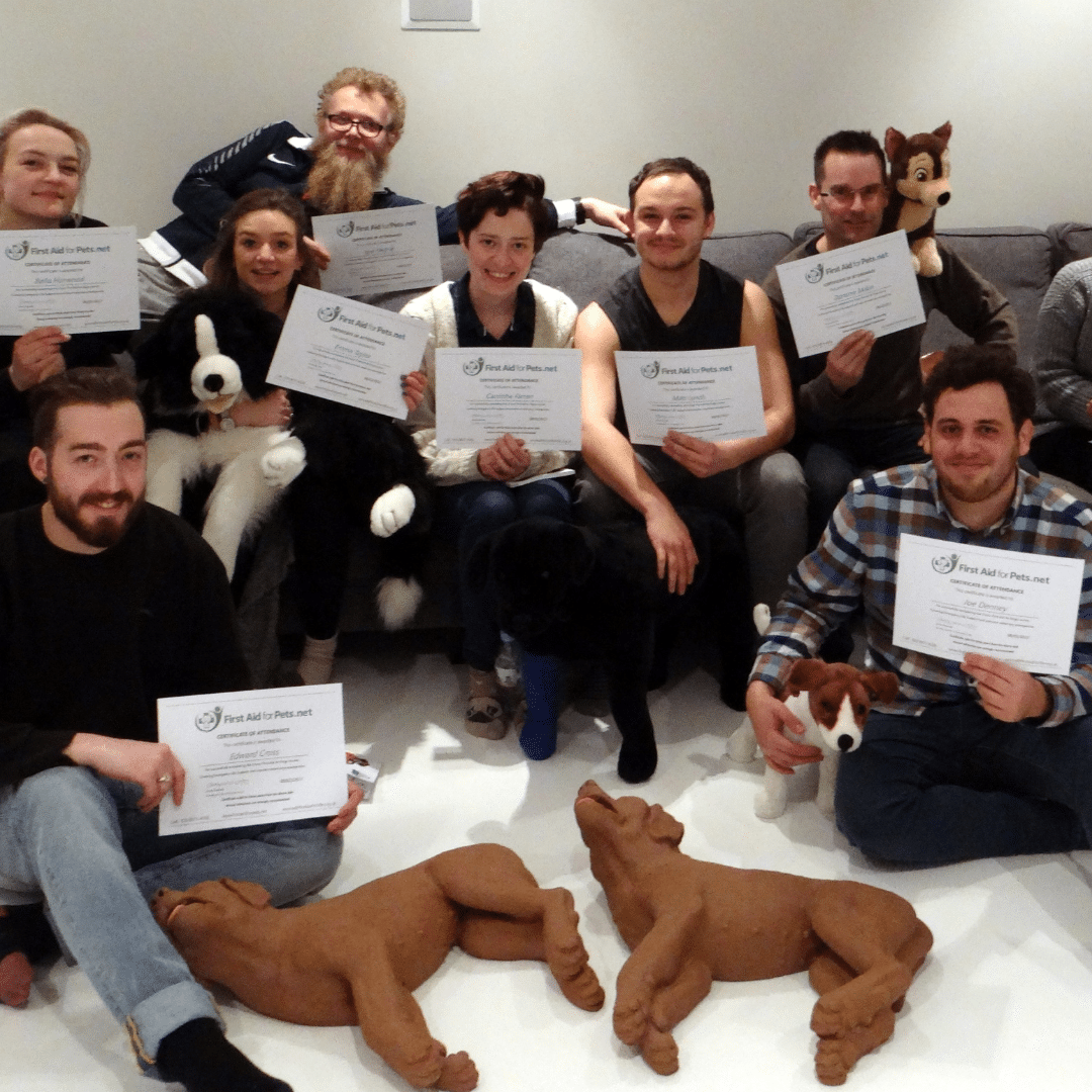First Aid for Pets course