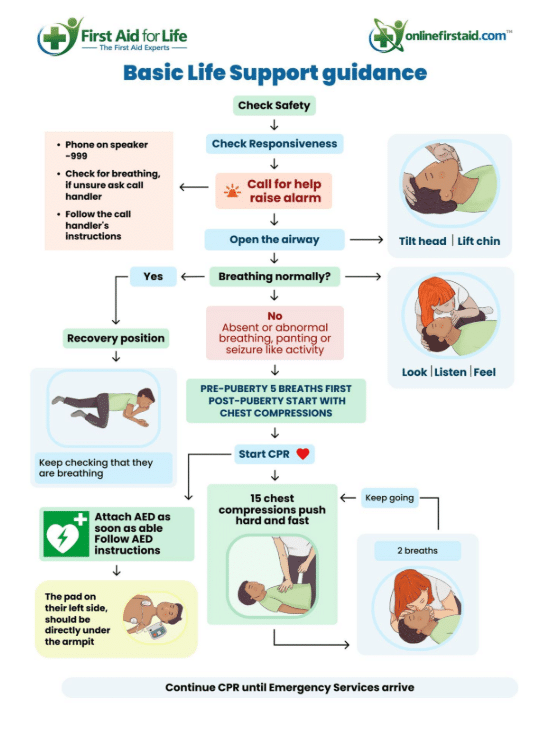 BSL and AED