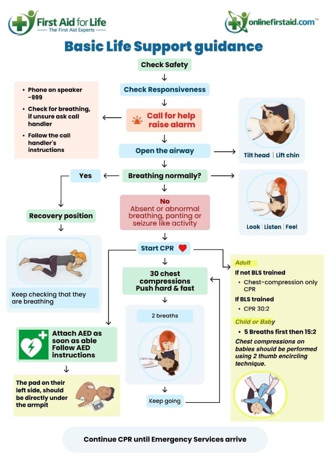 basic life support infographic